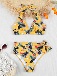 Printed Plus Size Bikini Set – High-Waisted Two-Piece Beach Style